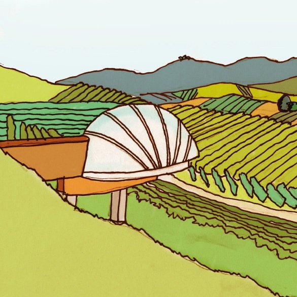 [L’Acino] 
Thi drawing by Gianluca Biscalchin shows the Acino for what it is: the symbol of a modern approach to tradition. 
@gianlucabiscalchin
#wine #wnelover #ceretto #cerettowinery