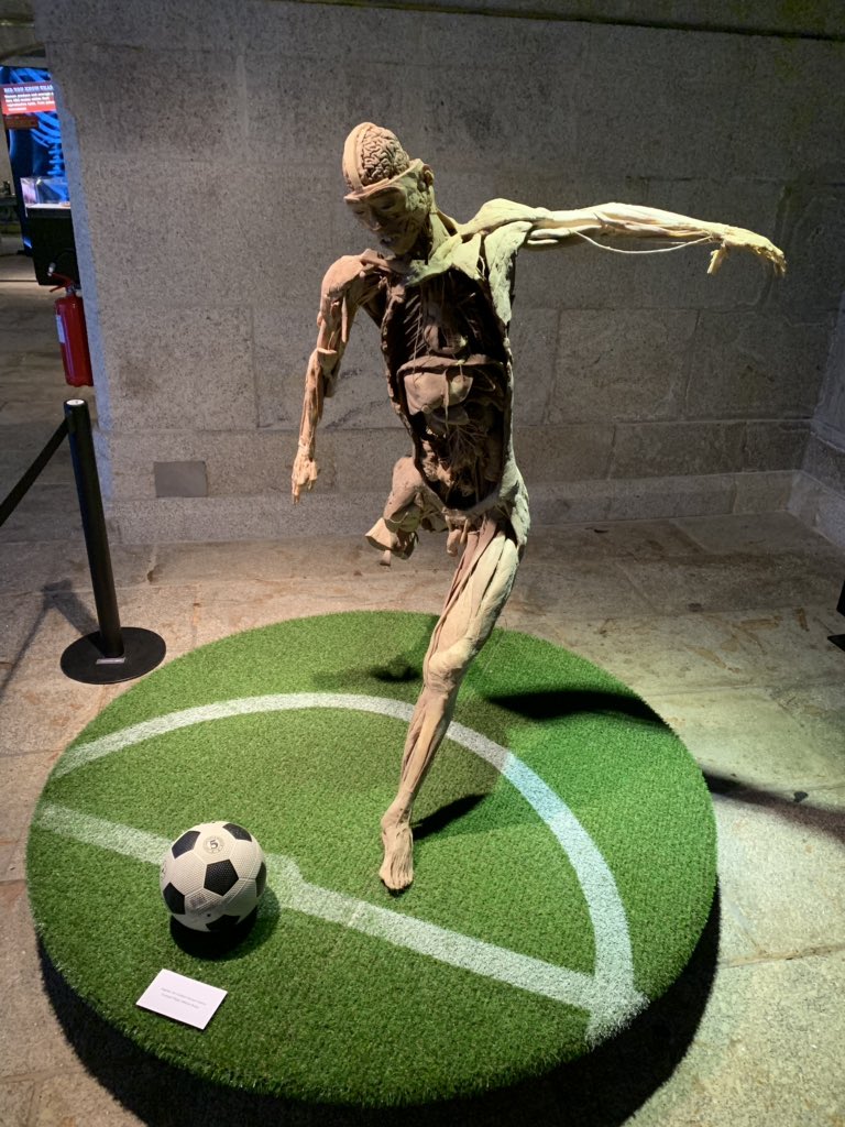 Luc behar tweet media