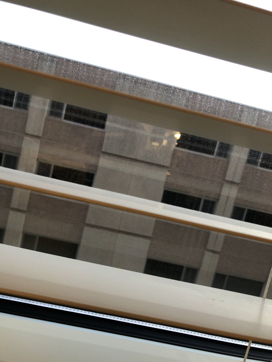 elliottengle's tweet photo. #ViewsFrom405
#BabyWatch2k19 
#LiveHospitalTweets https://t.co/cu8WapIhdo