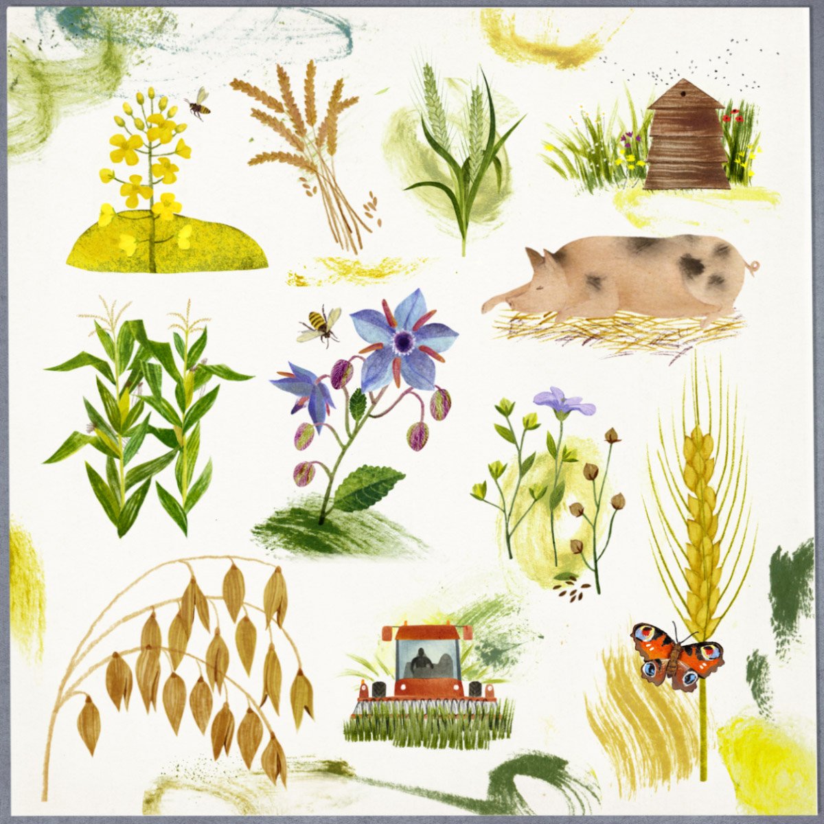 Hannah Bailey tweet media