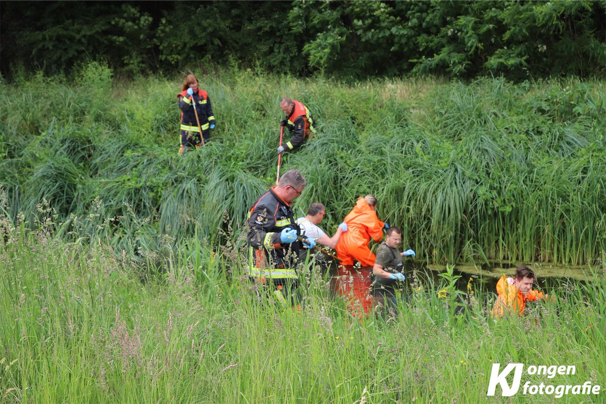 District16nl's tweet photo. Manschappen van de brandweer zoeken momenteel in een sloot aan de #Campingweg in #Katwijk, op zoek naar eventuele sporen dat kan leiden naar de vermiste #AnjaSchaap uit #Katwijk. https://t.co/9hLIIDRvqV