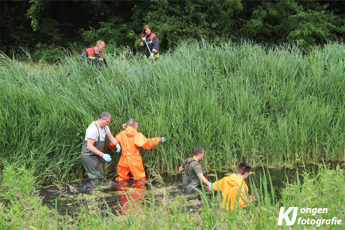District16nl's tweet photo. Manschappen van de brandweer zoeken momenteel in een sloot aan de #Campingweg in #Katwijk, op zoek naar eventuele sporen dat kan leiden naar de vermiste #AnjaSchaap uit #Katwijk. https://t.co/9hLIIDRvqV