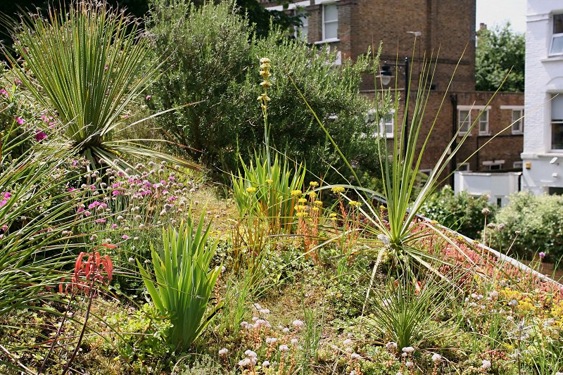 IGardeners's tweet photo. Five gardens are opening for the National Garden Scheme in Islington this weekend.  For further information please visit https://t.co/o2oFb2TBly  #opengardens #ngs https://t.co/ou3BHWqlu5