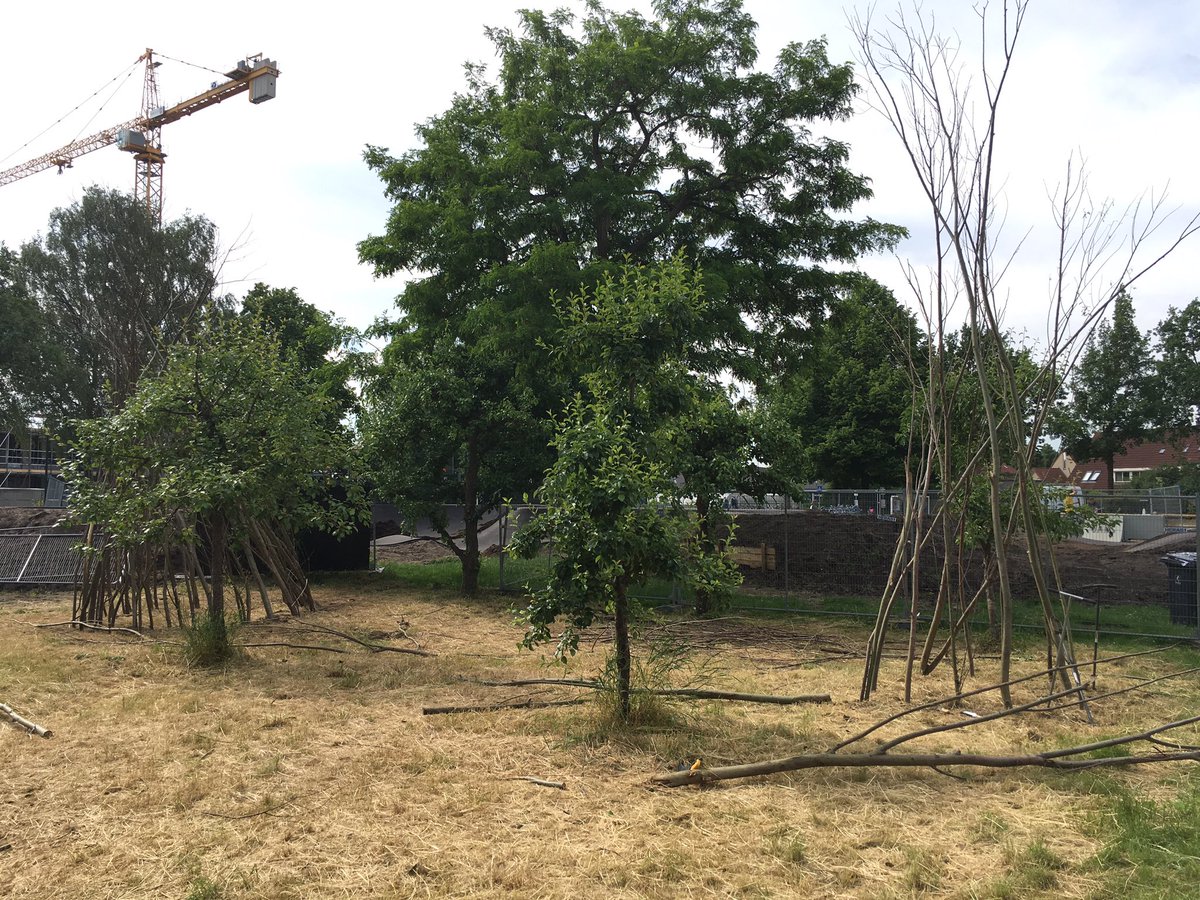 CultuurcoachWbD's tweet photo. Vanochtend de laatste wilgen tenen les in het Speelpark! Woensdag 12 juni vind de officiële opening plaats en de hele dag activiteiten, ook weer aan de slag met Wilgentenen! Tot dan! #kunsteducatie #natuureducatie #cultuurprogramma https://t.co/4t2qdC59uB