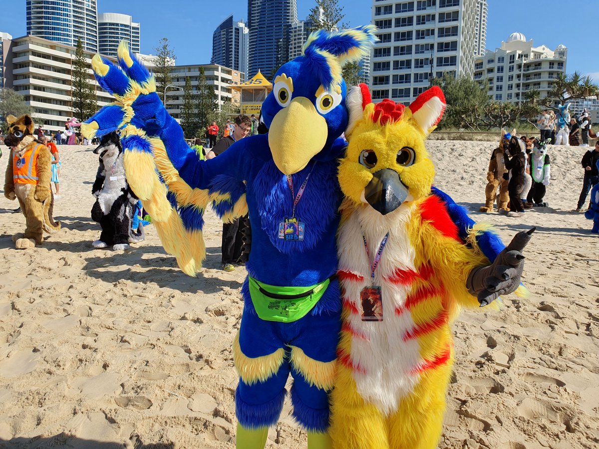 YukeWeiss's tweet photo. #FursuitFriday Beautiful bird people at #FurDu2019 
@shertu_oce and Wuldriik (https://t.co/zEVFfHxAkl) are lovely and I was stoked to get photos #FeatherSuitFriday https://t.co/XKMdcObyXr