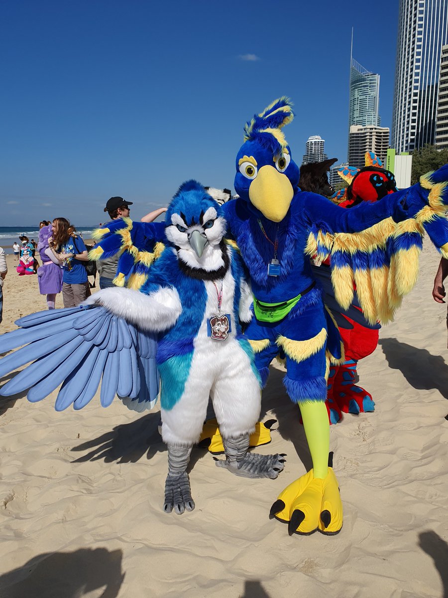YukeWeiss's tweet photo. #FursuitFriday Beautiful bird people at #FurDu2019 
@shertu_oce and Wuldriik (https://t.co/zEVFfHxAkl) are lovely and I was stoked to get photos #FeatherSuitFriday https://t.co/XKMdcObyXr