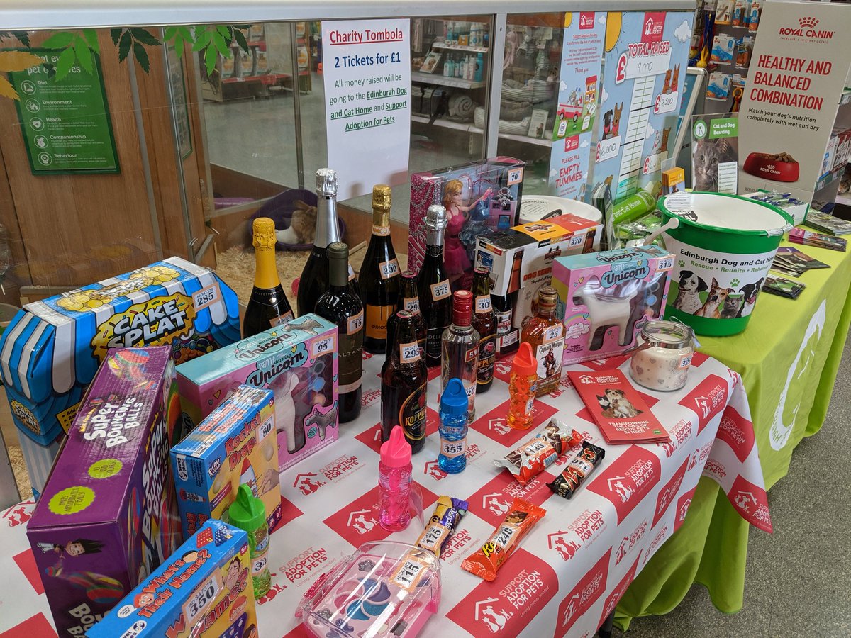 EDCHCommunity's tweet photo. We're at @PetsatHome Pentland with a snazzy tombola today! Only £1 donation for our dogs and cats to play 🐱🐶 come and say hello! ✨ @AdoptionForPets #FillEmptyTummies #Dogs #Cats https://t.co/V6dwmc5ijT