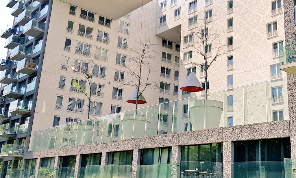 helenedebruine's tweet photo. Bomen in een pot zetten. Geen goed idee. Wortels hebben ruimte nodig. Licht en (regen)water. Bomen lijken dood of ziek. Weinig bladgroei.
#nieuwwest #Colijnstraat #parkrand @bomenconsulent https://t.co/bdxYCGfERH