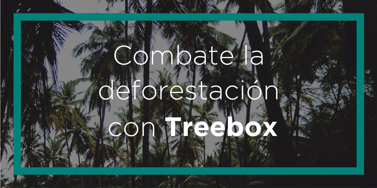TreeBoxDC's tweet photo. Cuando se trata del medio ambiente, cada detalle cuenta. Cada #GestoEco que hacemos en casa o en la oficina ayudan a la sostenibilidad del #planeta https://t.co/dowPFTIKEH