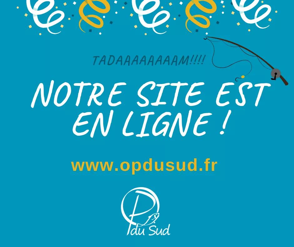 OPduSud's tweet photo. RT
✅ Oyez oyez!
Nous avons une annonce importante à vous faire......
💻 Notre site internet est en ligne ! Retrouvez désormais toutes les informations dont vous aurez besoin sur :

➡️ https://t.co/nJITZFMtXG

#information #méditerranée #siteinternet #pêcheur #conseil https://t.co/8PP6YT1M5Q