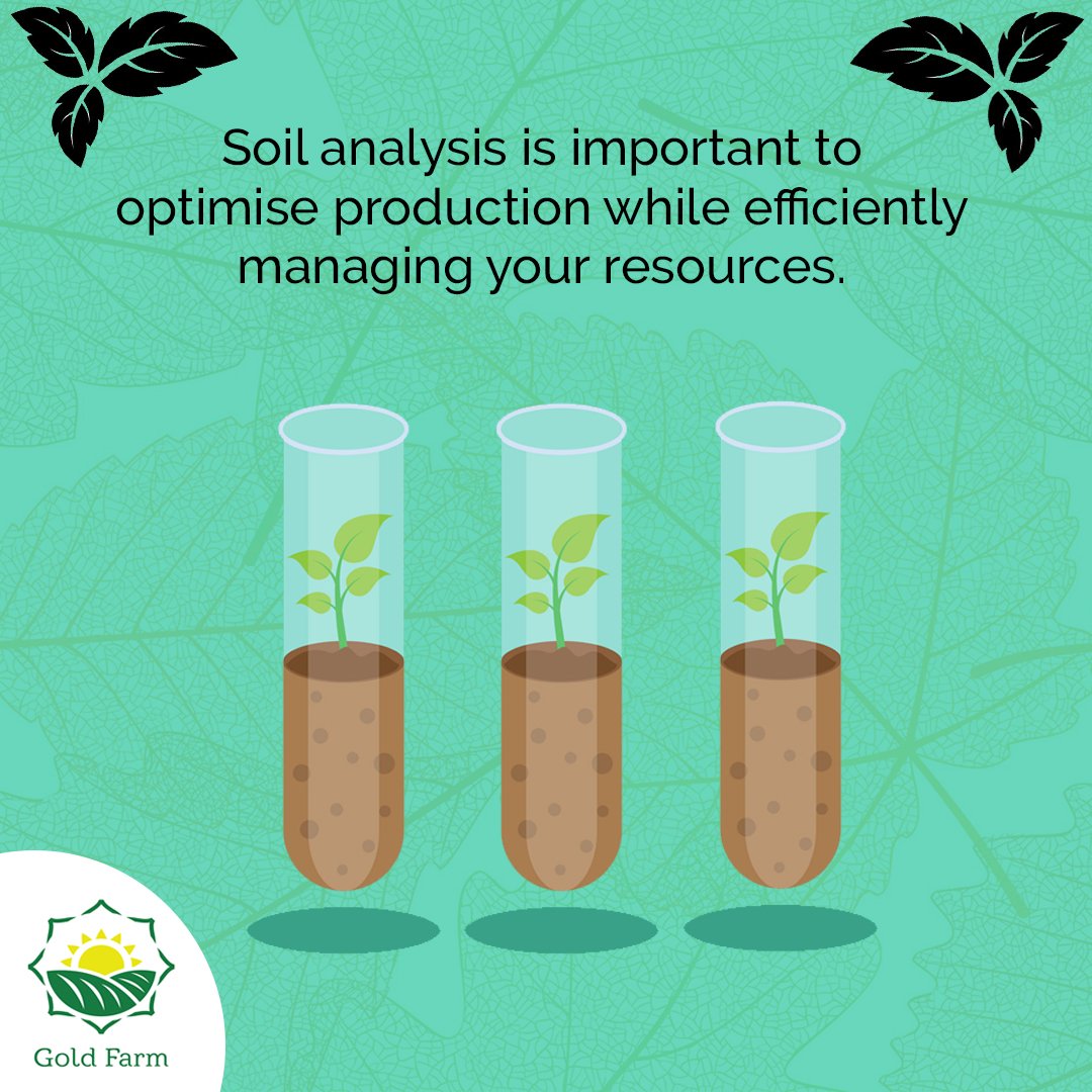 goldfarmupdates's tweet photo. Regular #soil testing enables the early detection of harmful soil conditions such as acidity and salinity built-up, nutrient imbalances and overloads, and the depletion of #organic matter.
#farming #agriculture #healthysoil #SaveEnvironment https://t.co/yDQ0JNj9E7
