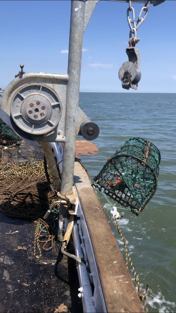 brancasterbay's tweet image. Pot overboard! Pots going back out after #hauling them with our #spencercarter #pothauler 👌🏻 
#potting #fisherman #imafishermanandthisiswhatido #woodenfishingboat #sea #fishingindustry