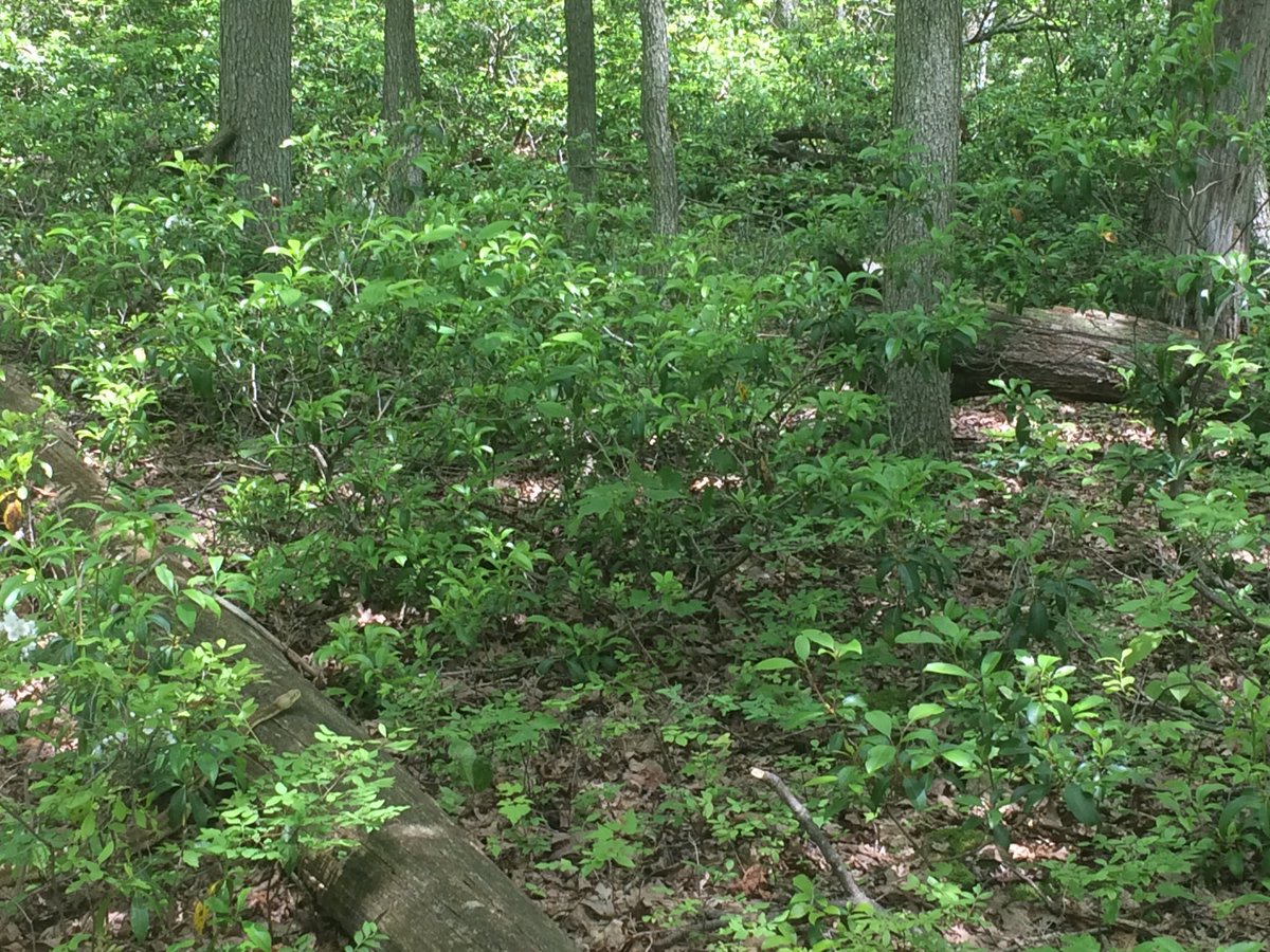 Chris Howey tweet media