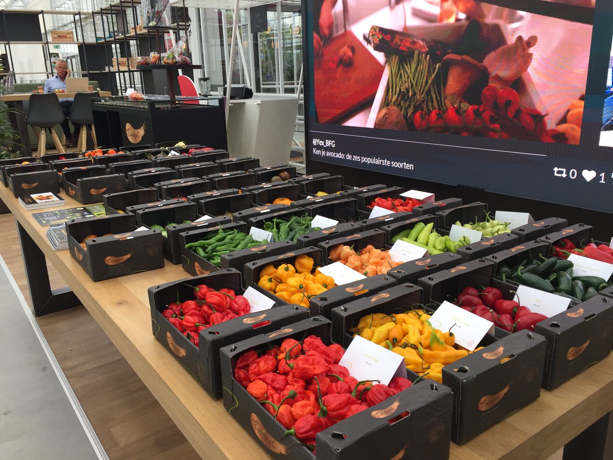 Deze week presenteert Eminent Seeds haar exclusieve tomaat, paprika en peper variëteiten. Maak kennis met dit kleurrijke assortiment en bezoek ons van 11 t/m 13 juni tussen 9 en 16 uur in het <a href="/WorldHortiCentr/">World Horti Center</a> 
eminentseeds.com/nl-nl/Ons-Nieu…