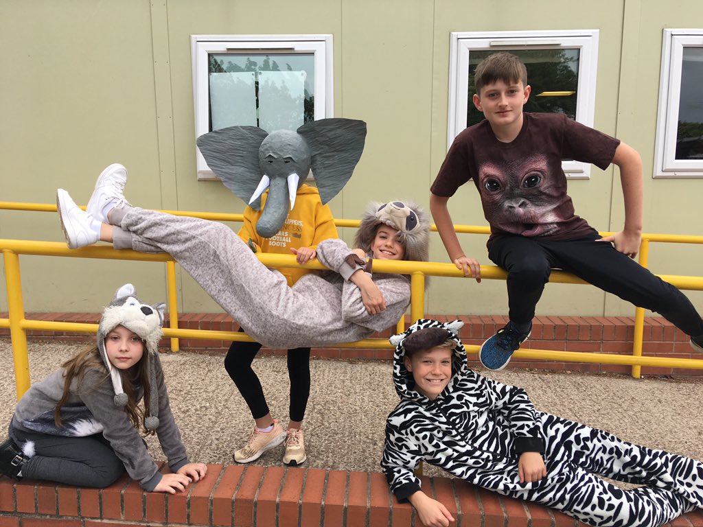 Edwaltonprimary's tweet photo. Edwalton looking ROARsome today for Wear It Wild 2019 while raising funds for our planet’s endangered species #wearitwild #wwf #Sustainability #ecoschools https://t.co/uwO1uS4yGn