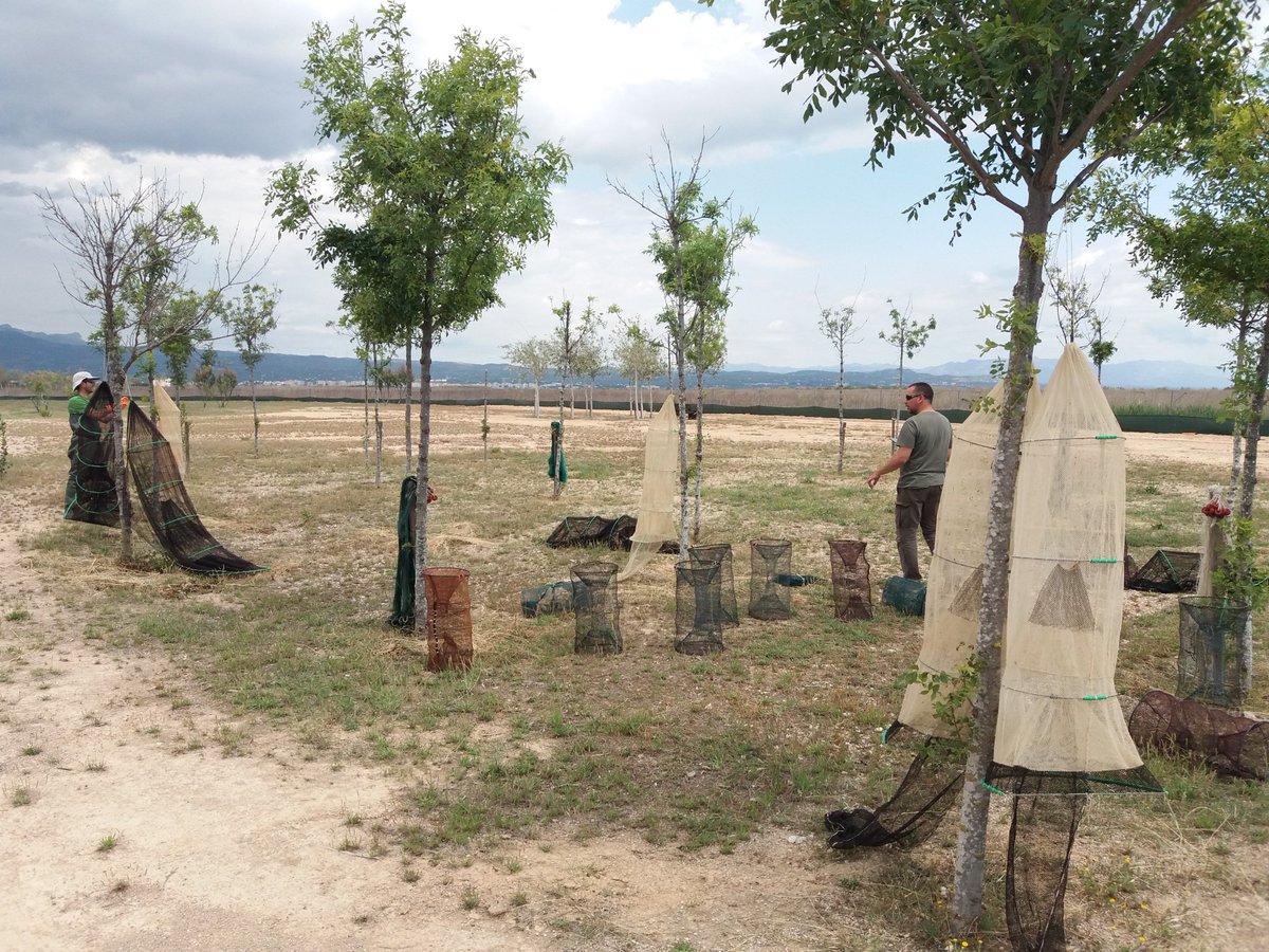 Humedales Delta Ebro tweet media