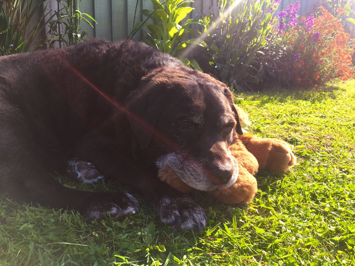 💙living his best life 💙