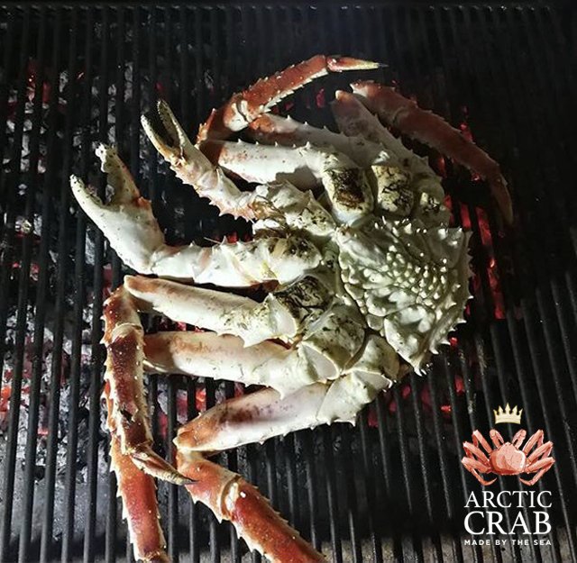 Arctic_crab's tweet photo. There are dozens of ways to prepare our king crab but, sometimes, the easiest way is the most delicious. Do you want to try it? Send us a message 📥 #kingCrab #redKingCrab https://t.co/3gJjMk0iMR