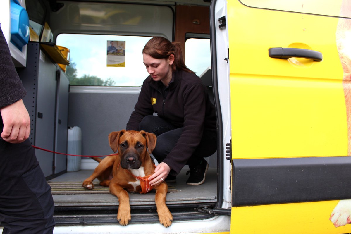 DT_Ballymena's tweet photo. This is Deirdre, she is our campaigns officer, she will be offering #FREEMICROCHIPPING in these areas next week: Hilltown Community Centre, Rostrevor Road, BT34 5TU Wed 12th June 11am-3pm &amp; Forkhill Community Centre, Bog Road, BT359SZ Thurs 13th June 11am-3pm #NorthernIreland https://t.co/zdaiD10FtS
