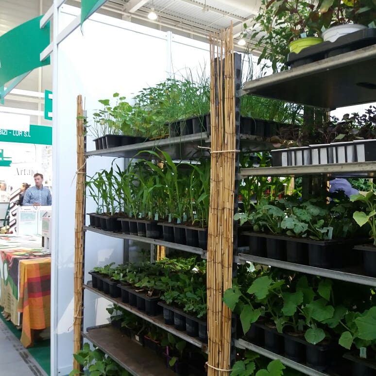 Jose Antonio Santano tweet media