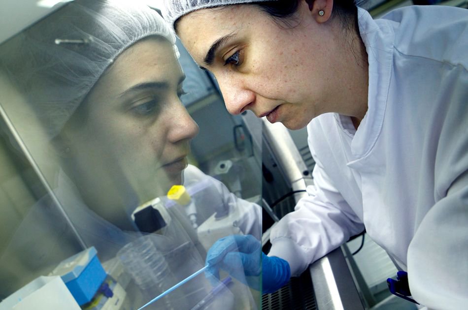Economia_3's tweet photo. #Bioinformaticos ➡️ Un consorcio europeo formado por @ainiatecnologia junto con otras cuatro entidades y universidades europeas trabajará para validar un perfil profesional que mejorare los procesos de #SeguridadAlimentaria https://t.co/uKtFI4KanU https://t.co/BnLyx10PCy