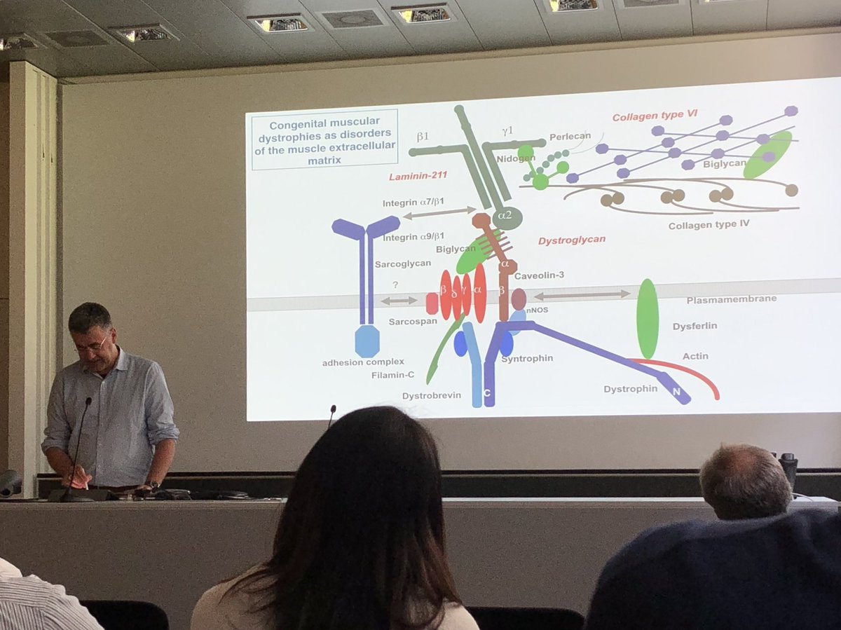 RueggLab's tweet photo. Thank you Dr. Carsten Bönnemann for coming to the @biozentrum @UniBasel_en and giving an amazing and inspiring talk about #colVI related #dystrophies and his pioneering work ! https://t.co/15m0g7lzhG