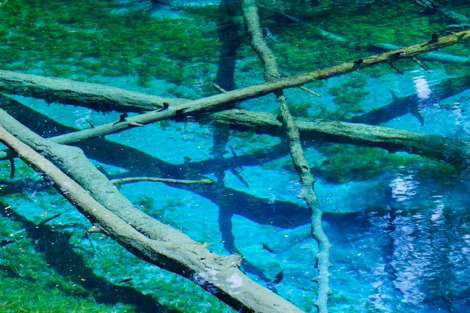 幻想的 高画質 のtwitterイラスト検索結果