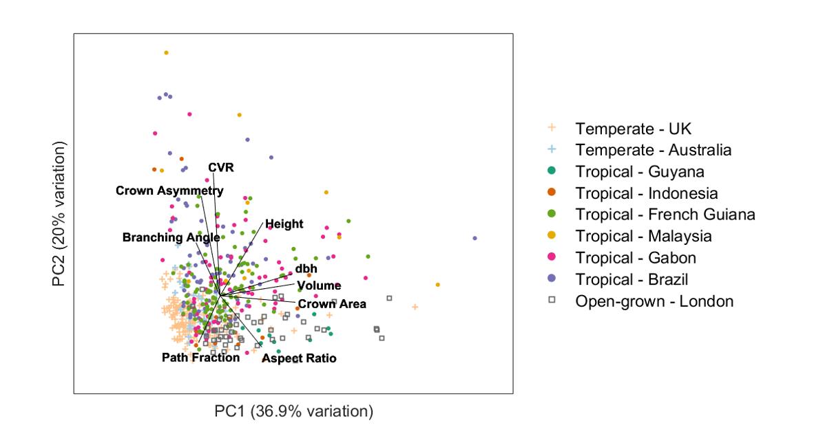 Toby_D_Jackson's tweet photo. We can now map tree architecture with lasers!  

Check out this PCA. Interesting to see the open-grown trees cluster around high path fraction  - a proxy for hydraulic efficiency. 

@ashenkin @mathiasdisney @ymalhi
Blog https://t.co/oGYtLmkWvX
Paper https://t.co/EUSVoxpvpw https://t.co/z9acHlgSAC