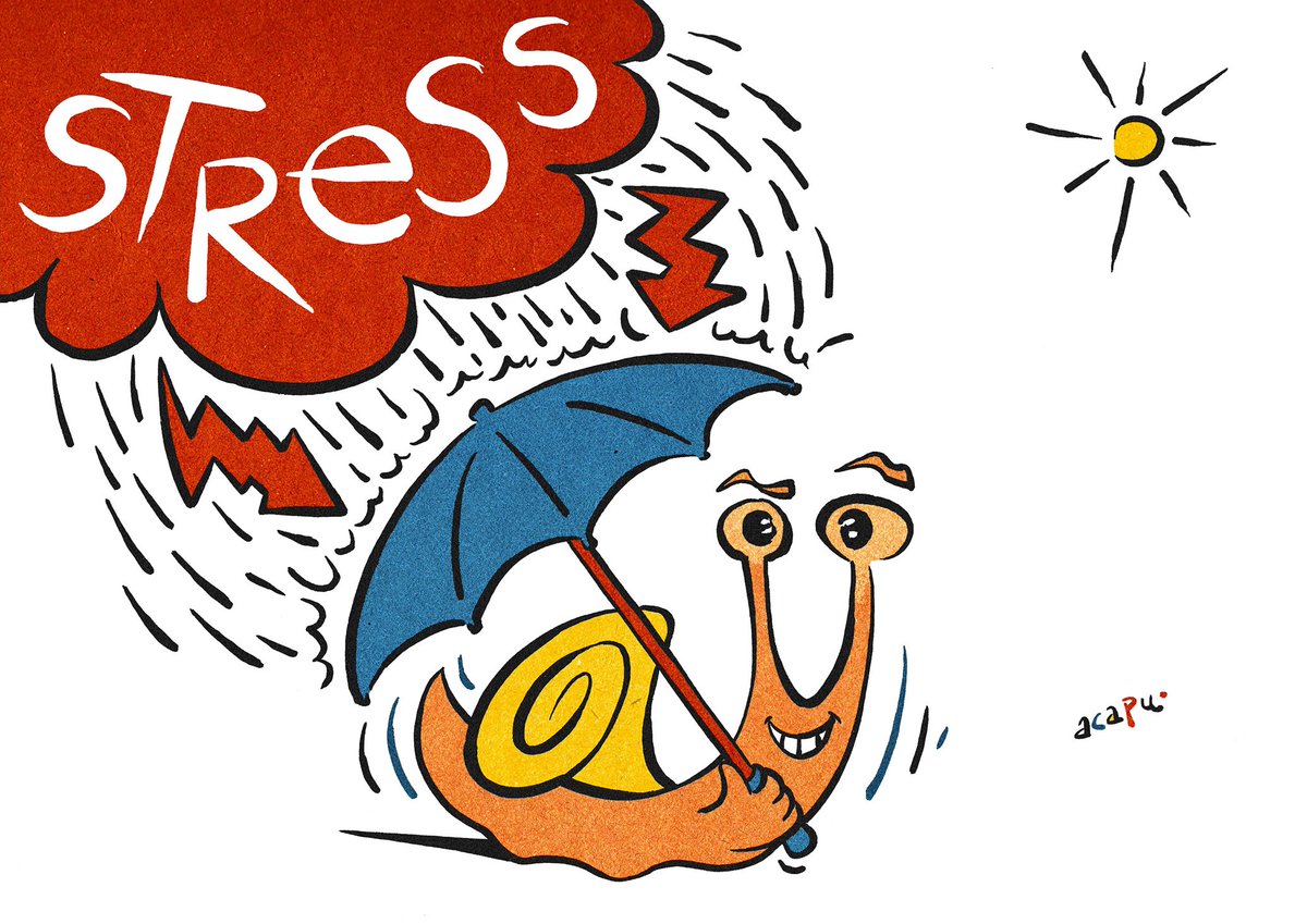 Ximo_Segarra's tweet photo. #stress #humorgráfico #Castelló https://t.co/RJ4Yu1THyO