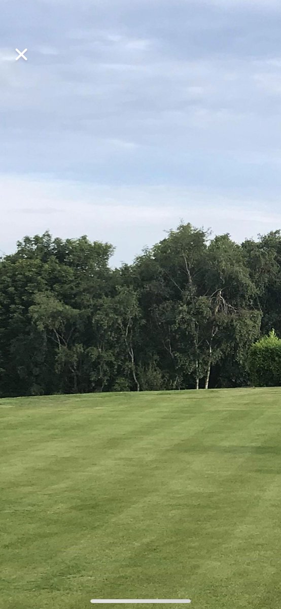 Fairways Double cut this week Along with all the Tees. General strimming kept up with including ditches on 8,7,17,18. All bunkers have been edged weeded and cultivated. We’ve finished off today with changing the Holes raking bunkers and giving the Greens a hand mow.