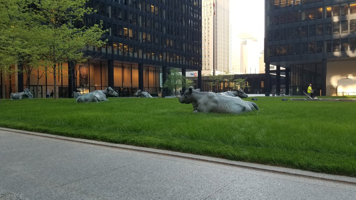 johnbspears's tweet photo. Can we make this a bookable meeting space for the summer? #issummerfinallyhere? #WeTheNorth #Toronto https://t.co/lXwUYWFulr