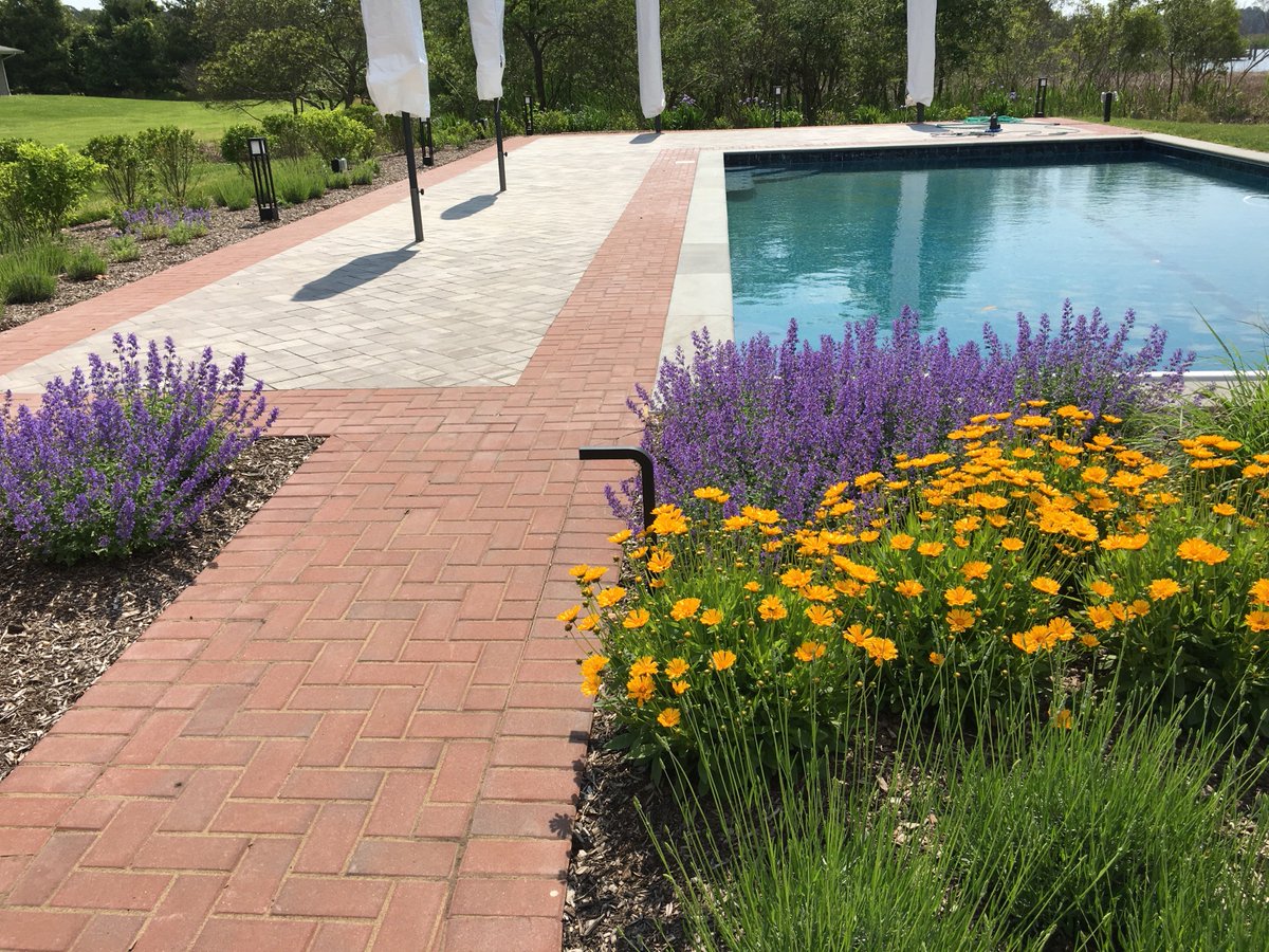 BuildUnity's tweet image. Unity designed and constructed garden and pool terrace.