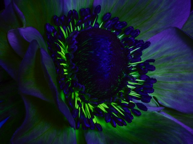 Chris Turner Studio tweet media