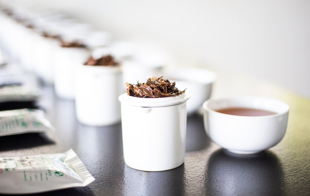 TeaboxTea's tweet photo. The happiness of receiving something ahead of schedule, especially when you’ve been looking forward to it for a long time is exactly what we felt while tasting the first cups of the #SecondFlush teas - now live on our website!
Go on, get yourself some fresh teas!! #OnlyFreshTea https://t.co/VqATEHXMBA