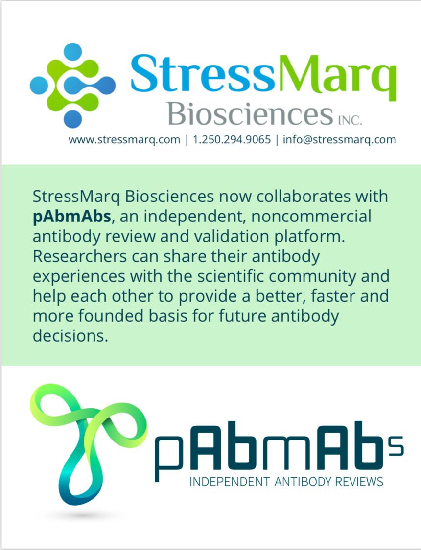 pAbmAbs's tweet photo. pAbmAbs are happy to announce that we have initiated a collaboration with @StressMarq in order to promote transparency in science. Follow the link below where you can read more about the collaboration and how this will benefit you!
https://t.co/Fh1lZIvKHh https://t.co/PO7MNVYLVj