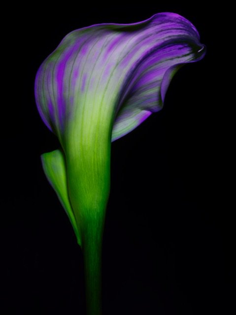 Chris Turner Studio tweet media