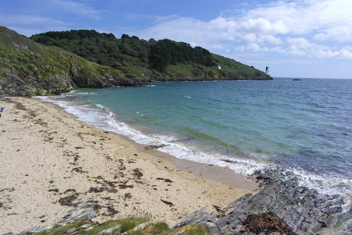 Driftwood_Penryn_Cornwall tweet media