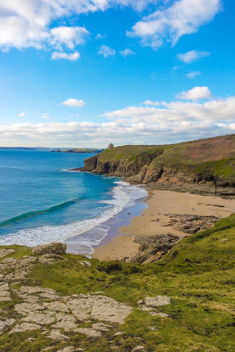 Driftwood_Penryn_Cornwall tweet media