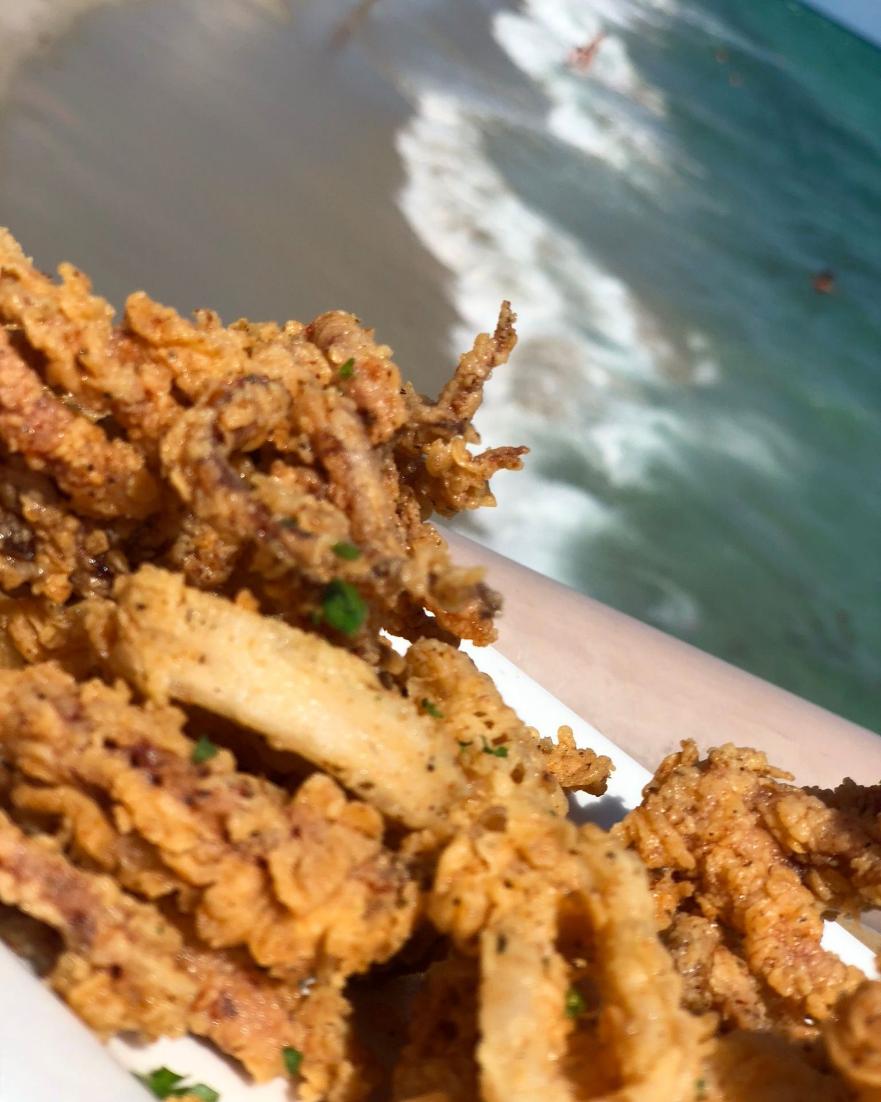 BeachBarNewport's tweet photo. This washes up on shore...
Do you eat it? 🍴
🐡🐡🐡 https://t.co/x8LRVVK5XO