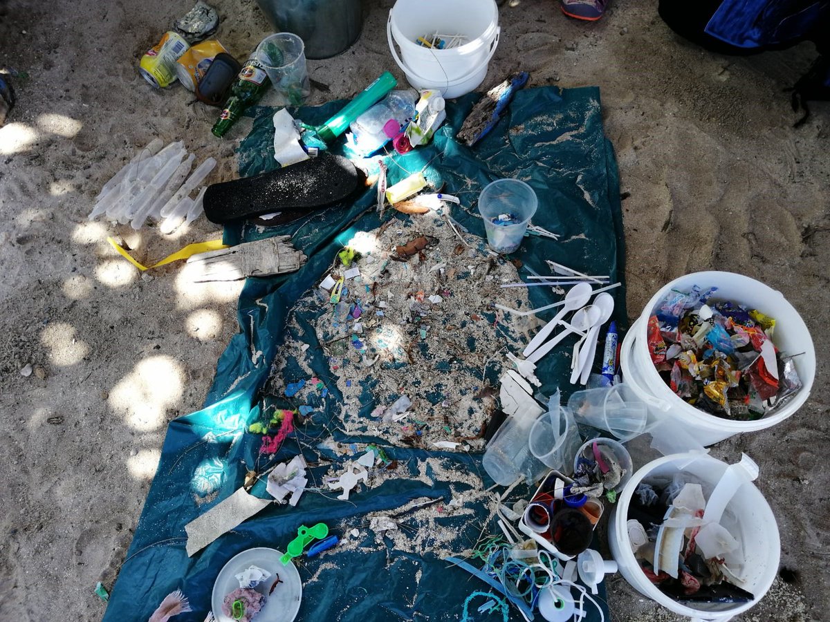 WiltonPark's tweet photo. 🌊 On #WorldOceansDay, a reminder of the perils of #marinelitter

With @CefasGovUK we've hosted policy workshops across the #Commonwealth to tackle #marinelitter

✅ 🇻🇺

✅ 🇸🇧

🗓 🇧🇿 coming soon

To find out more about #CommonwealthLitterProgramme 👉https://t.co/Yzn5XJDsHr https://t.co/m62RZcarOz