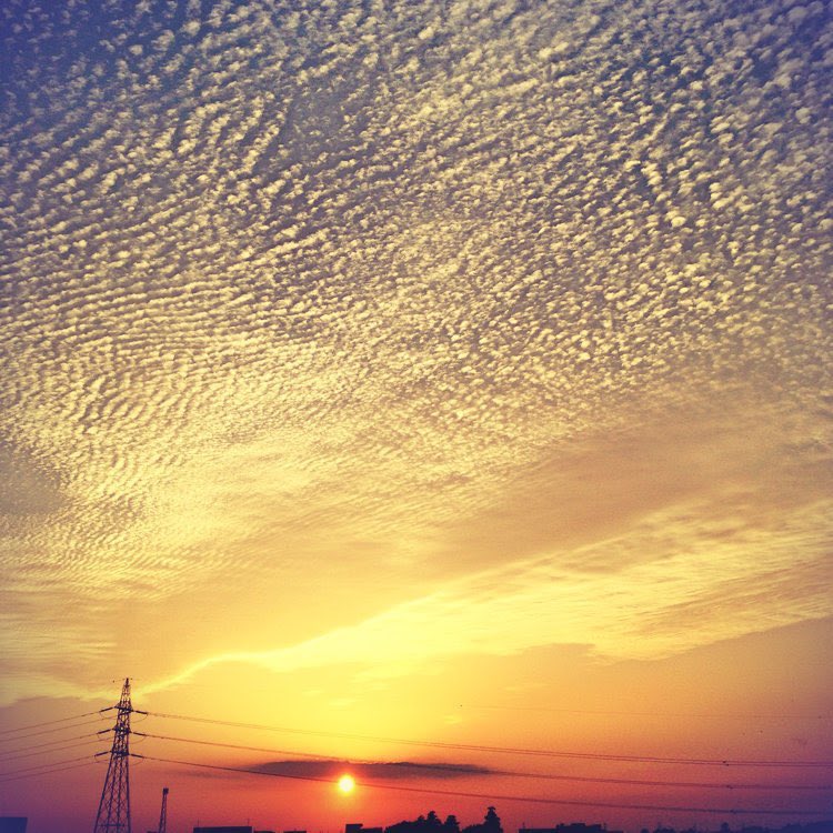 私たちの人生から…
感謝が去っていくと
いつのまにか不平不満がやってきて、席に着くようになります…

感謝は、喜びと幸せの扉を開く🔑鍵です☺️