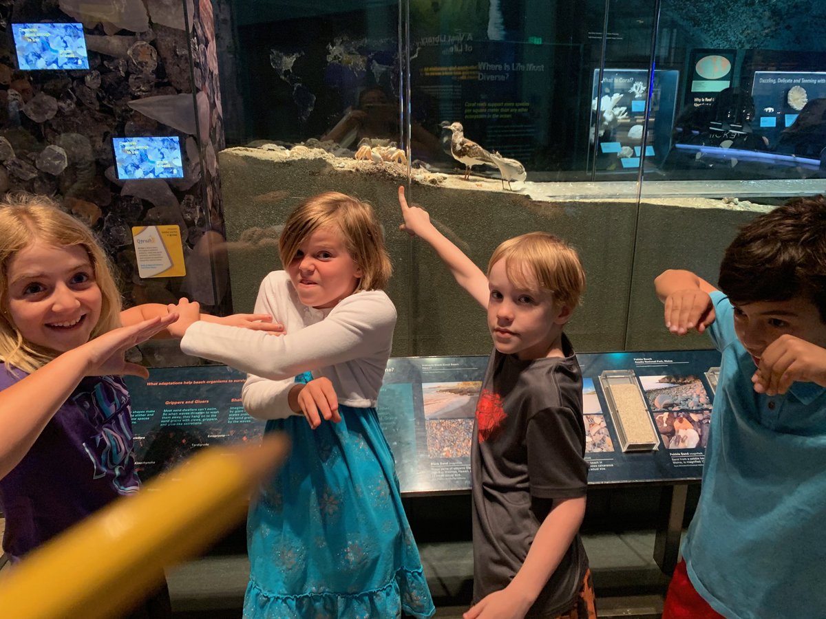 Crab = crustacean = decomposer! #roteam2 ⁦<a href="/MsRomeroAPS/">Ms. Romero's Class</a>⁩