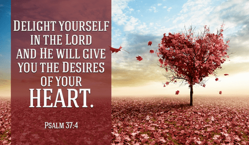 KCWNFM's tweet photo. When we delight in the Lord He often changes our heart’s desires to what most honors Him, then grants them to us.  (Randy Alcorn) https://t.co/arZ0oglKp1