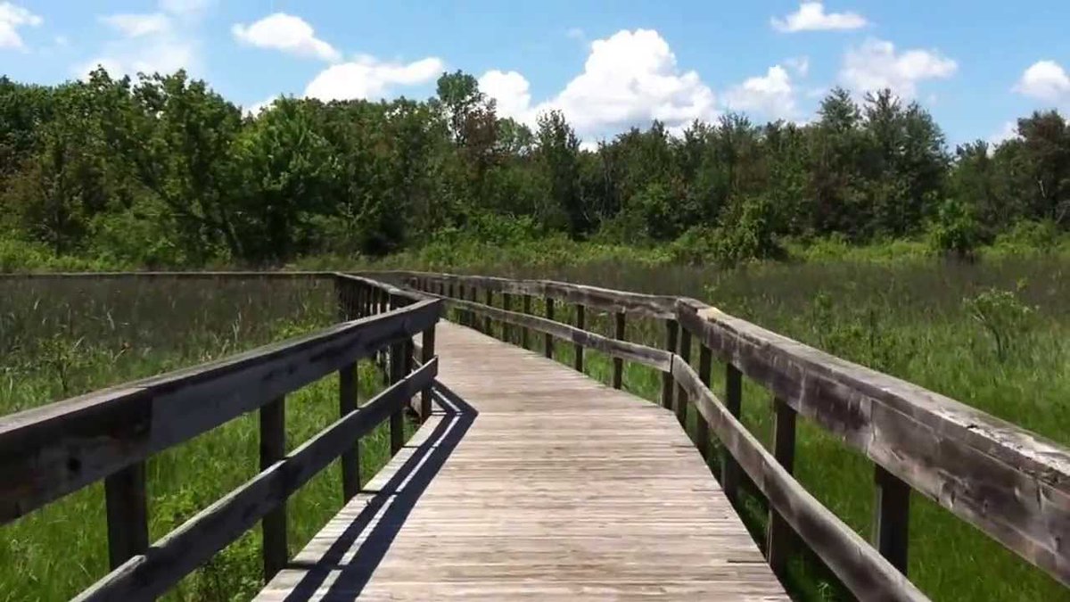 brightoncoc.org/events/details…
#ribboncutting #thisweekend #JoinUs