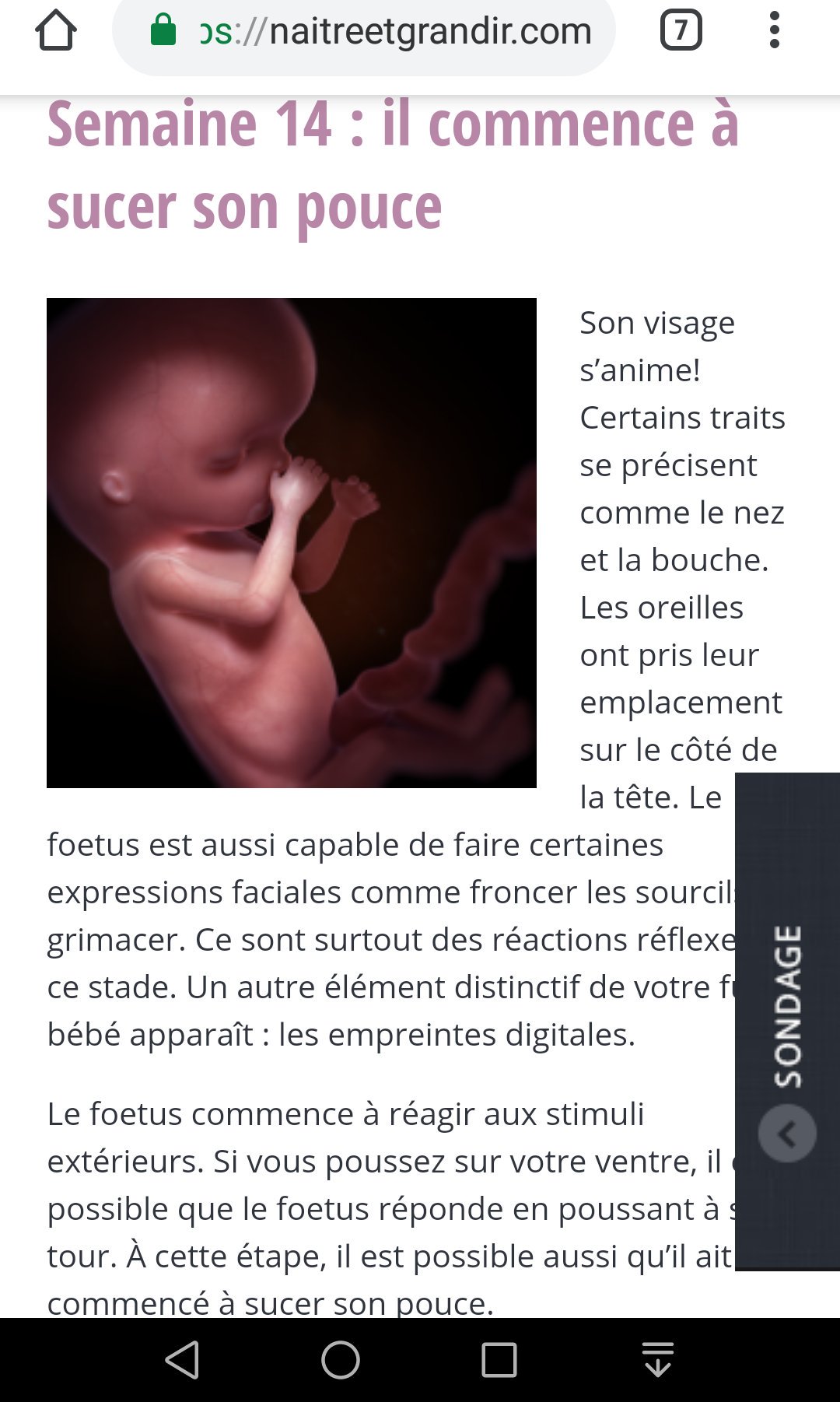 Cecileadlions ن Semaine 14 Bebe Commence A Sucer Son Pouce Il Reagit Aux Stimuli Il Est Bien Vivant Mais Le Senat Sans Debat Valide Un Amendement De Laurossignol Portant La