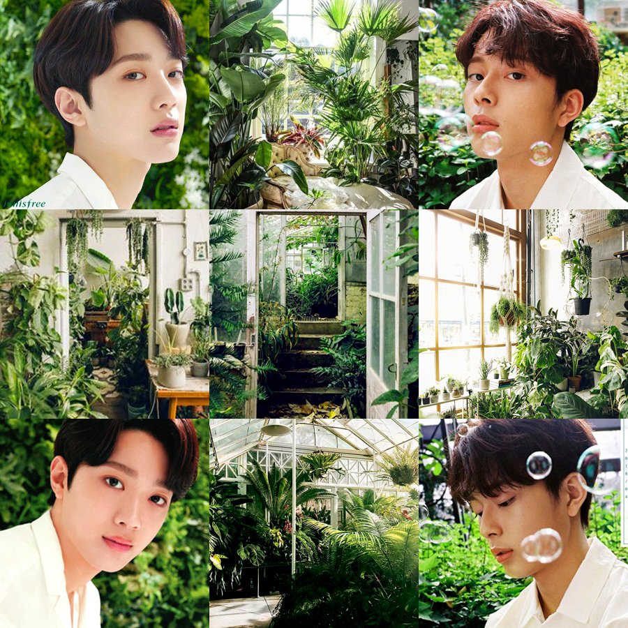 LinHoAesthetic's tweet photo. ✨ Special Aesthetics Moodboard  ✨

for @LAI_KUANLIN_twt  &amp; @CUBE_YOOSEONHO 🐣🐥❤❤

#라이관린 #유선호 #laikuanlin #yooseonho #linho #หลินโฮ https://t.co/I0INf3iaWd