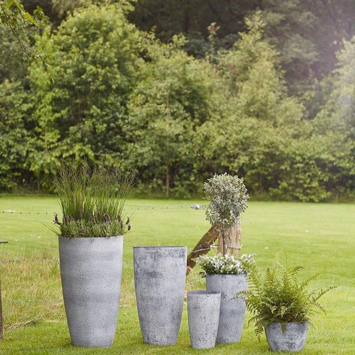 DonofrioLandsca's tweet photo. Embrace your individuality, bring something new in everything you do ππΈπΉπ±πΊπΊππ
#landscaping #landscape #mowing #garding #clearingtrees #flowers #flower #petal #petals #nature #beautiful #love #instablooms #bloom #botanical #floweroftheday https://t.co/27YNMZ9bXx