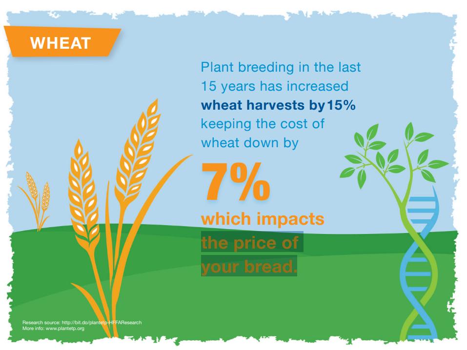 EuroseedsEU's tweet photo. #DYK? #Plantbreeding in the last
15 years has increased wheat harvests by 15% keeping the cost of wheat down 7% which impacts the price of your bread. 🍞🥖 Learn more here: https://t.co/M52HbUEEPv https://t.co/qPSNqCMpg4