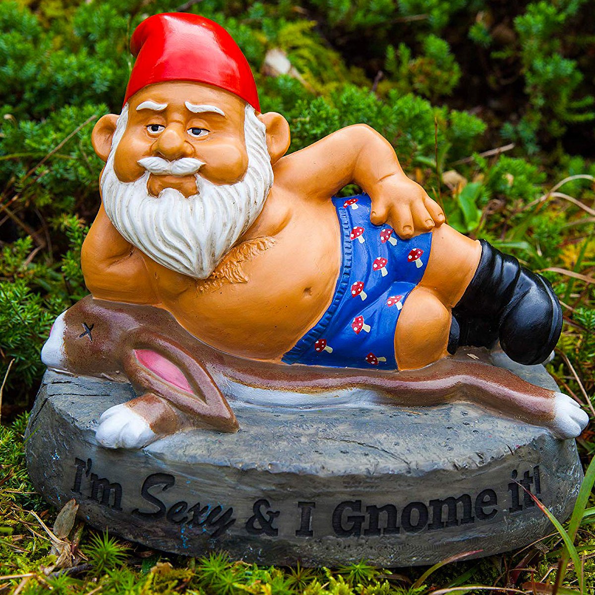 mycrazystuff.com on X: Nain de jardin I'm sexy #gnome #naindejardin  #décoration #home #garden #jardin #fun #cadeau #rigolo #lol #gadget  #collection #maison #sexy #lubrique    / X