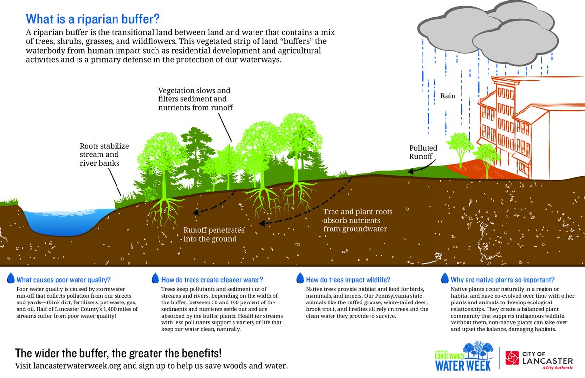 Head downtown to Heritage Square tonight during #FirstFriday to explore the #LancasterWaterWeek Public Art installation, learn about riparian buffers, and get a FREE native tree! 🌳